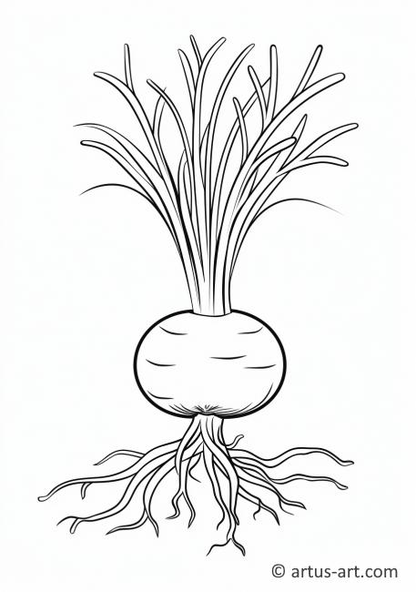 Onion with Roots Coloring Page